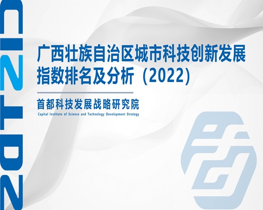 擦逼逼网站【成果发布】广西壮族自治区城市科技创新发展指数排名及分析（2022）